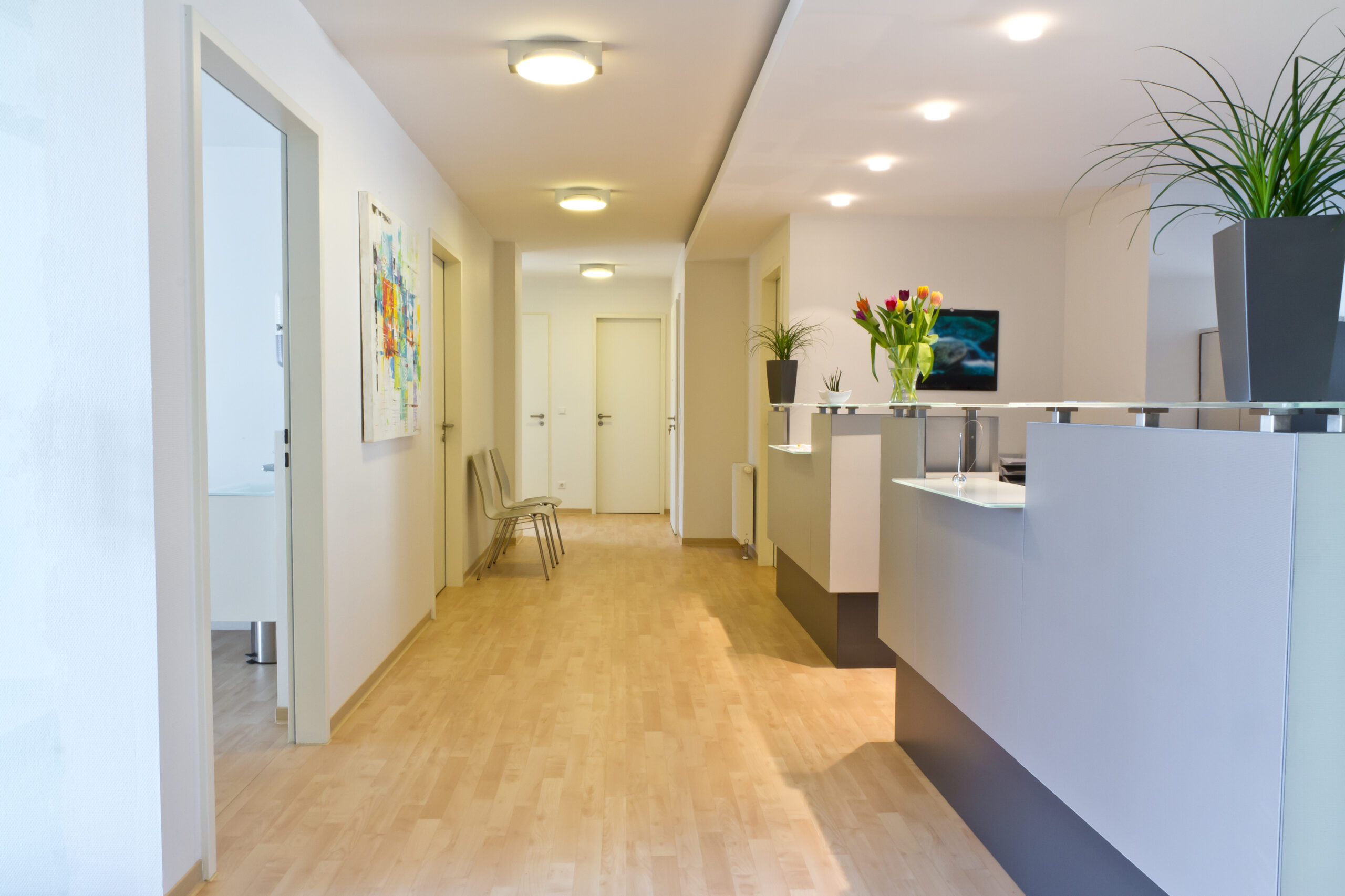Bright modern office hallway with a reception desk on the right and potted plants; warm wood floor and abstract art on the wall left.
